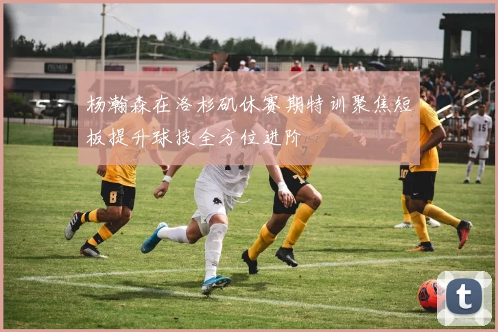杨瀚森在洛杉矶休赛期特训聚焦短板提升球技全方位进阶